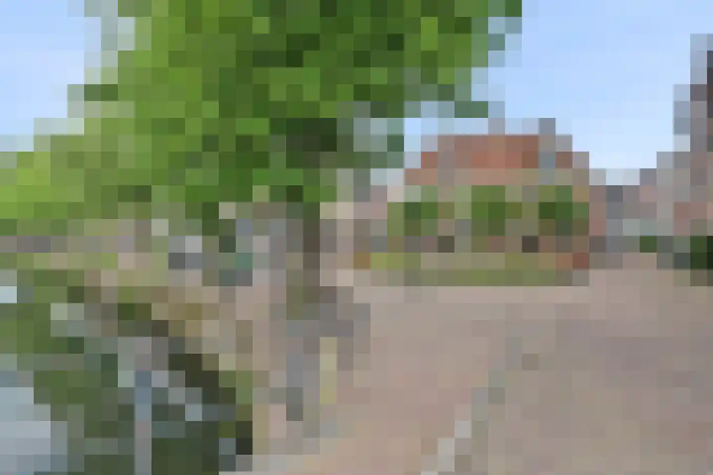 Vijver 33 Amersfoort thumbnail 31