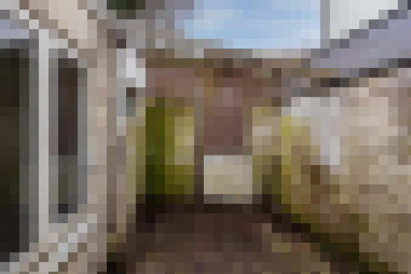 Vijver 7 Amersfoort thumbnail 11