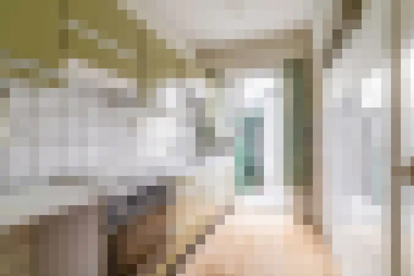 Vijver Noord 7 Delft thumbnail 10
