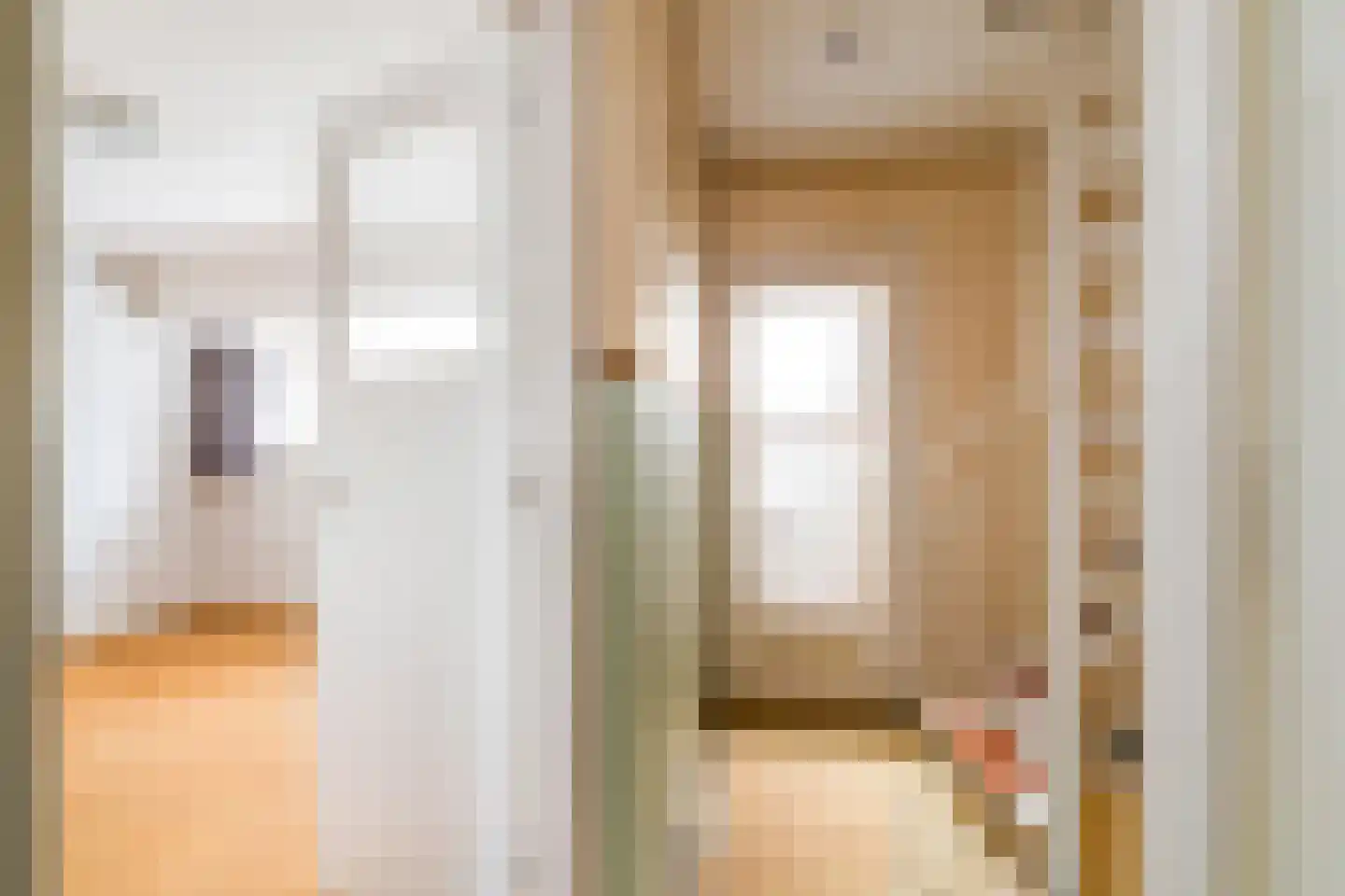 Vijver Noord 7 Delft thumbnail 17