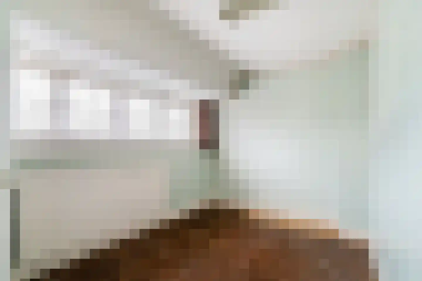 Vijver Noord 7 Delft thumbnail 18