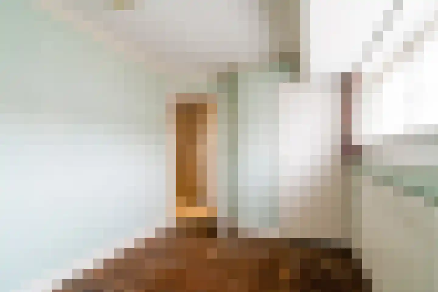 Vijver Noord 7 Delft thumbnail 19