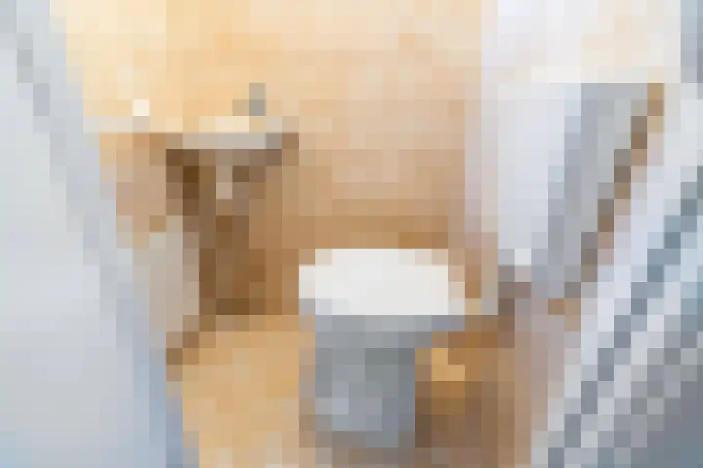 Vijver Noord 7 Delft thumbnail 5
