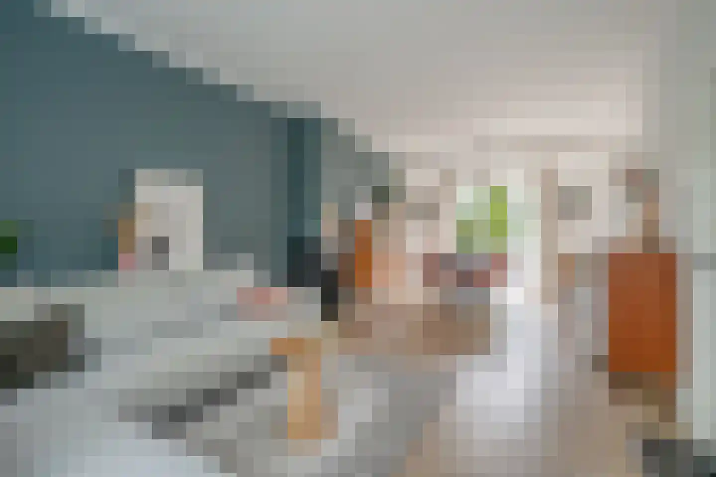 Vijver Zuid 8 Delft thumbnail 13