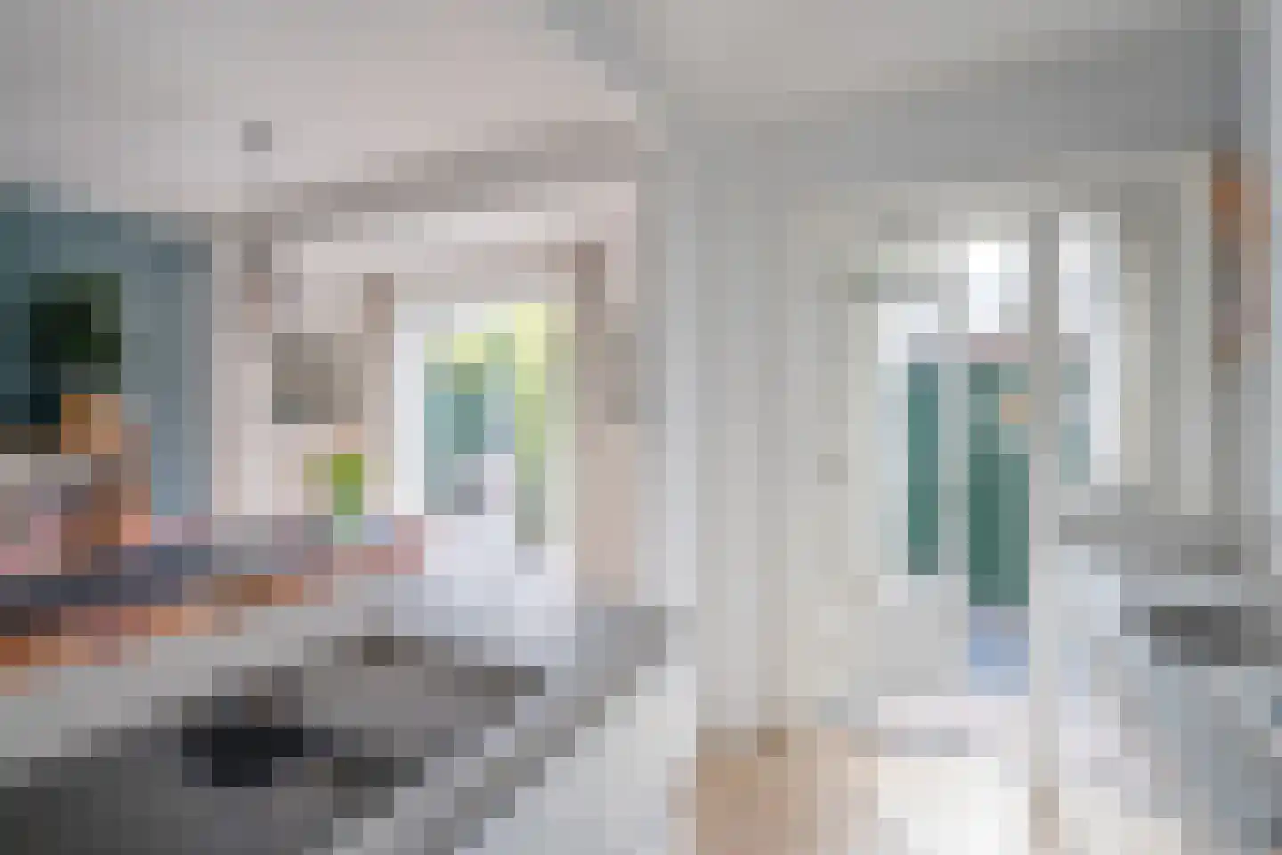 Vijver Zuid 8 Delft thumbnail 19