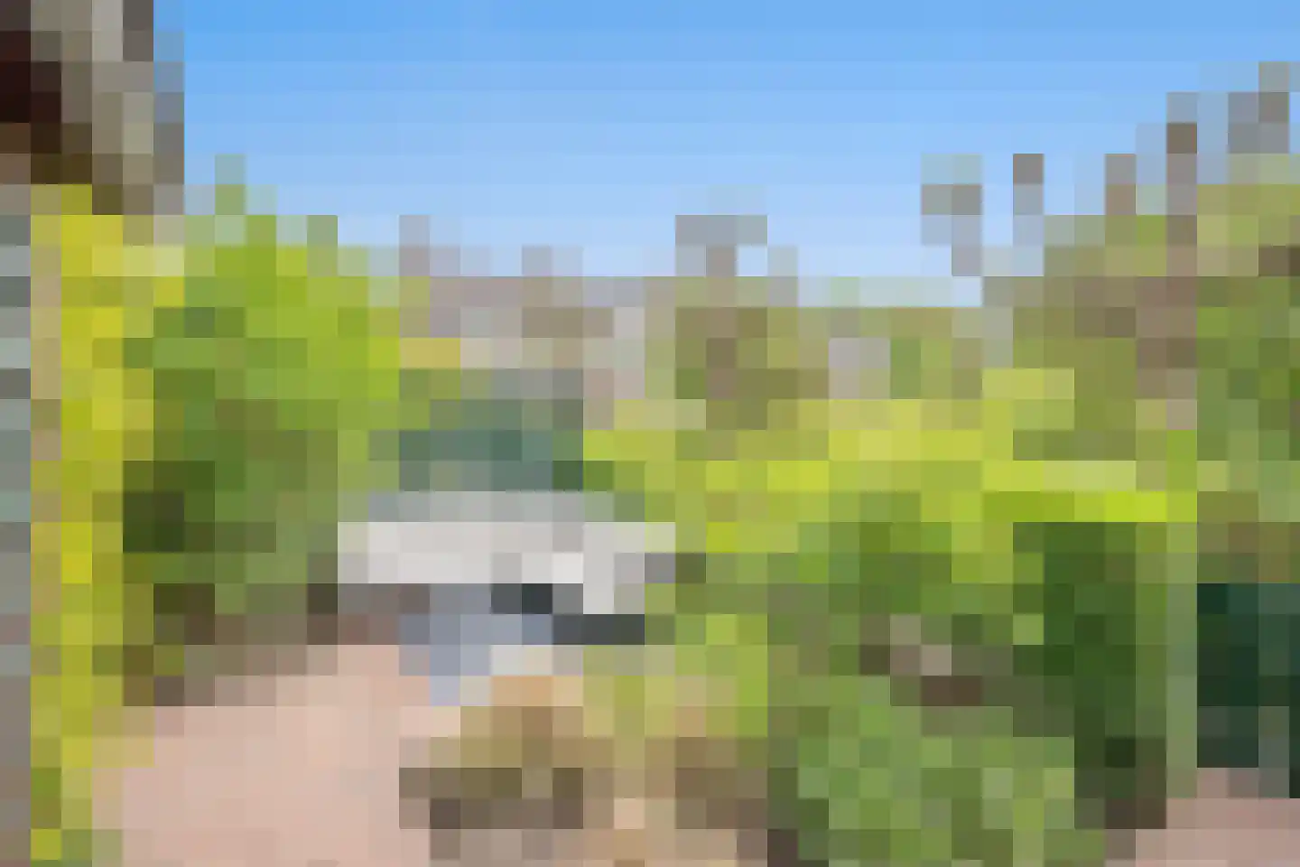 Vijver Zuid 8 Delft thumbnail 22