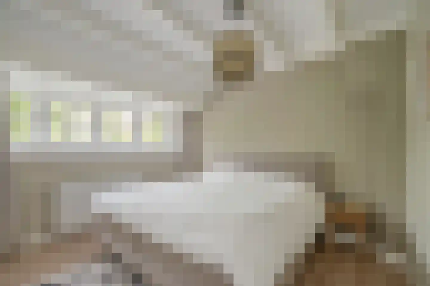 Vijver Zuid 8 Delft thumbnail 27