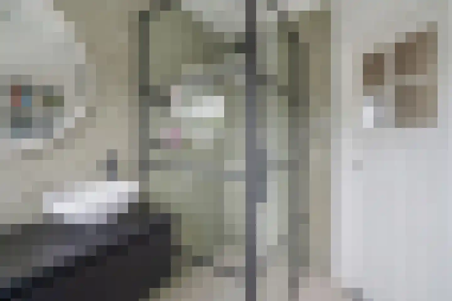 Vijver Zuid 8 Delft thumbnail 30