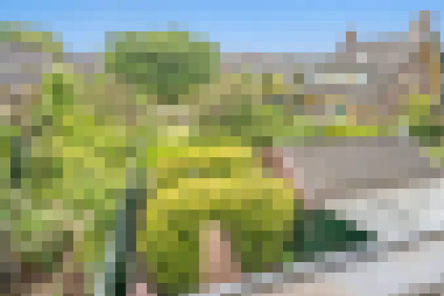 Vijver Zuid 8 Delft thumbnail 33