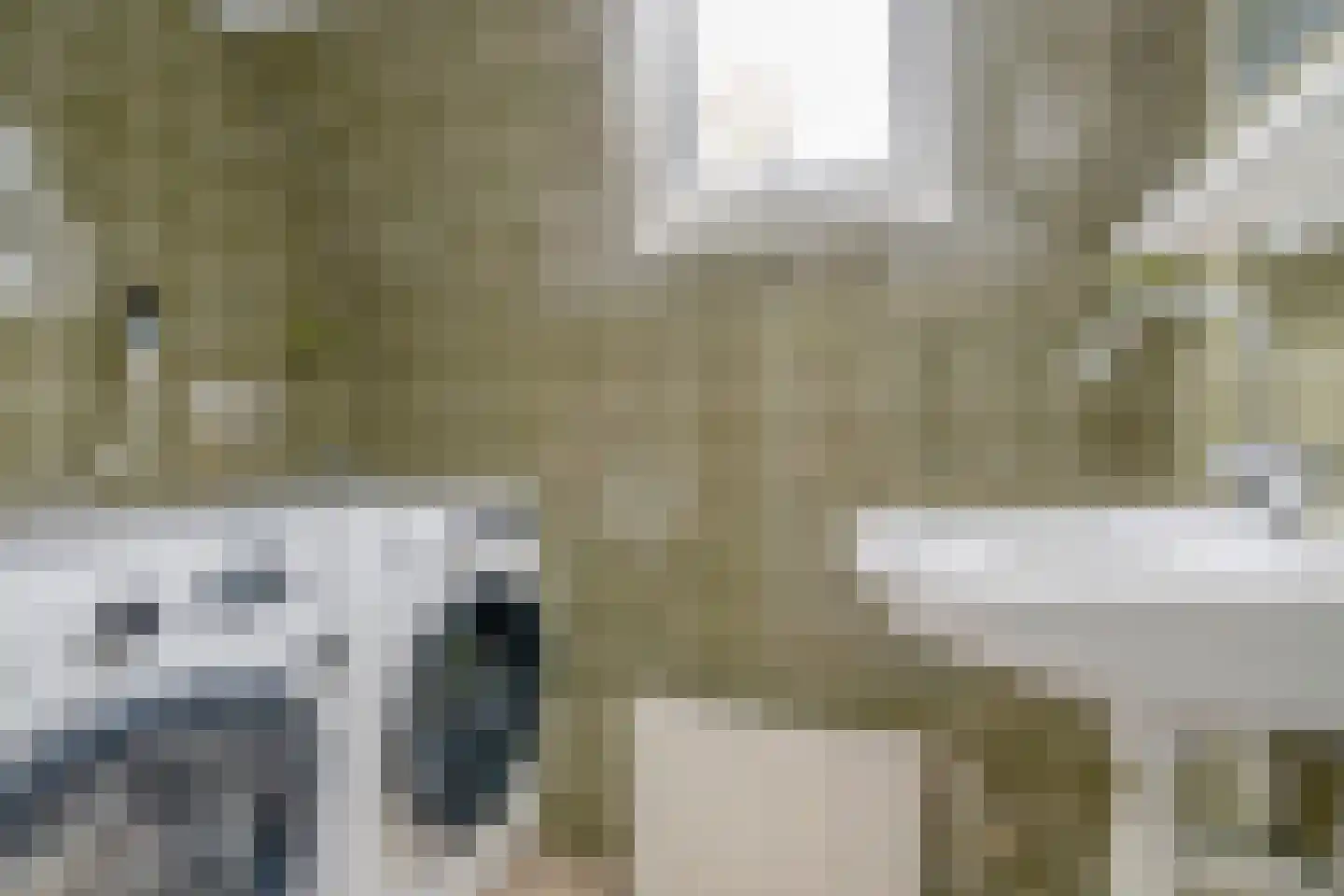 Vijver Zuid 8 Delft thumbnail 34