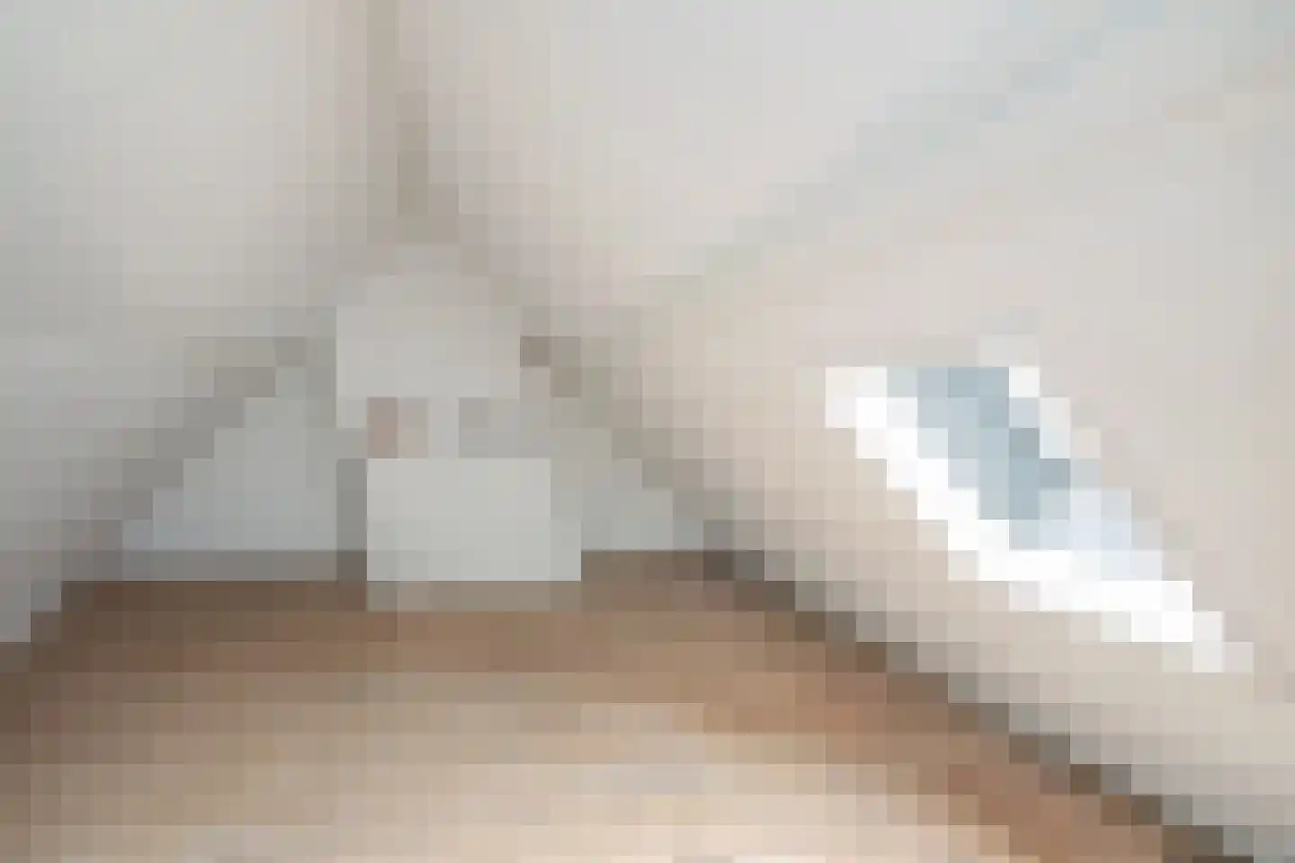 Vijver Zuid 8 Delft thumbnail 36
