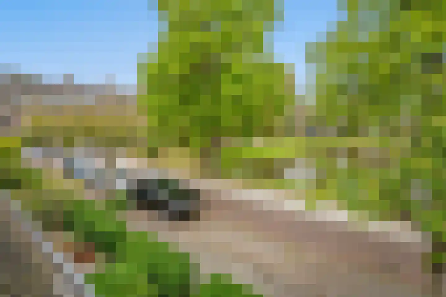 Vijver Zuid 8 Delft thumbnail 37