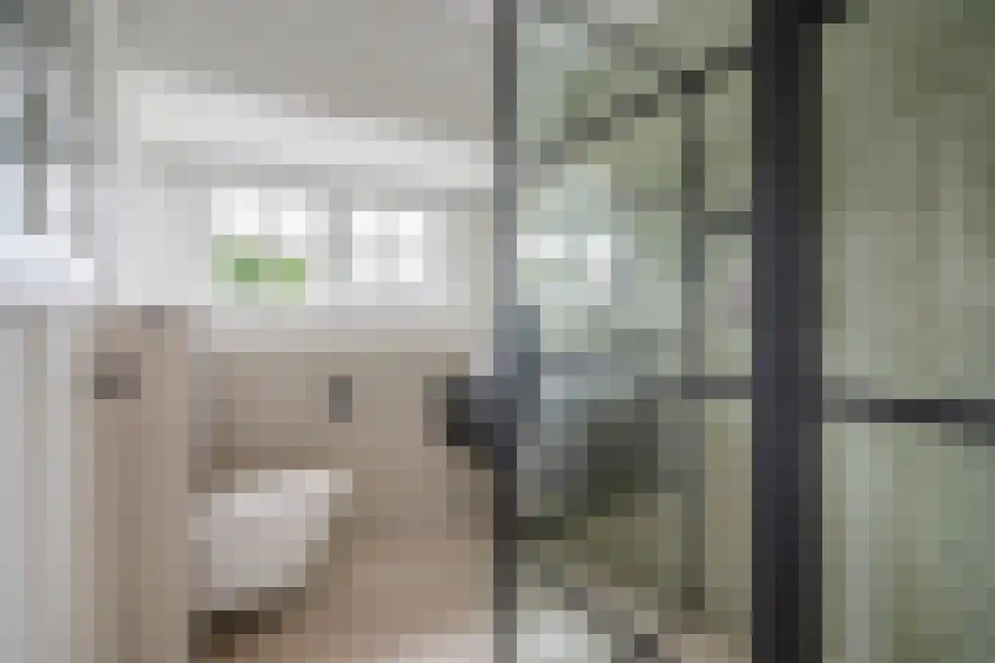 Vijver Zuid 8 Delft thumbnail 4