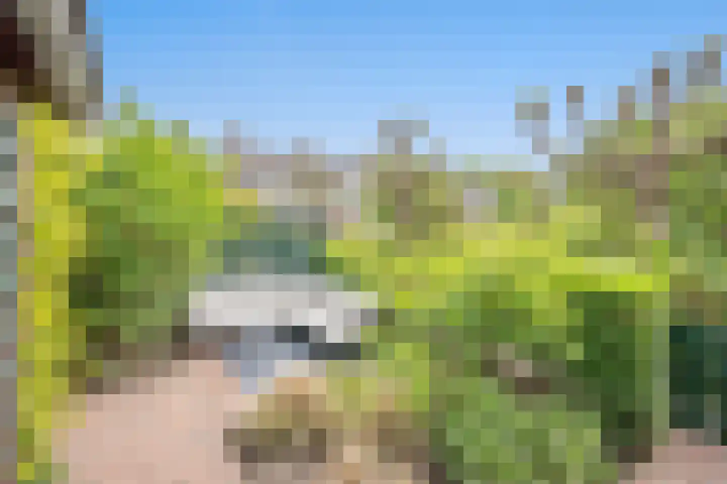 Vijver Zuid 8 Delft thumbnail 5