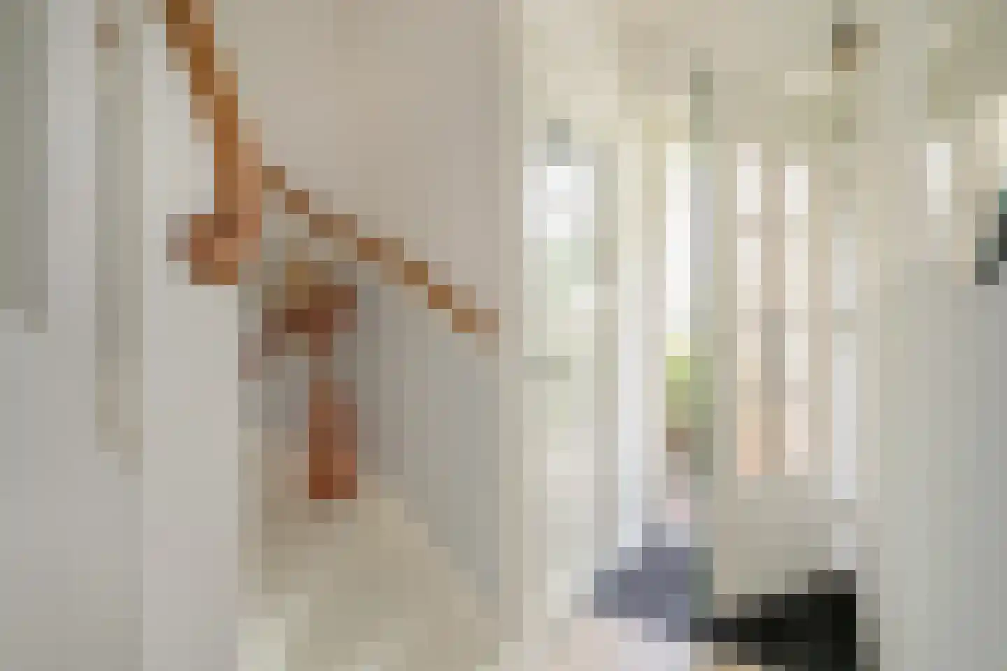 Vijver Zuid 8 Delft thumbnail 8