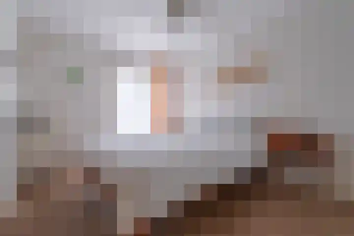 Vijverberg 14 Rhenen thumbnail 10