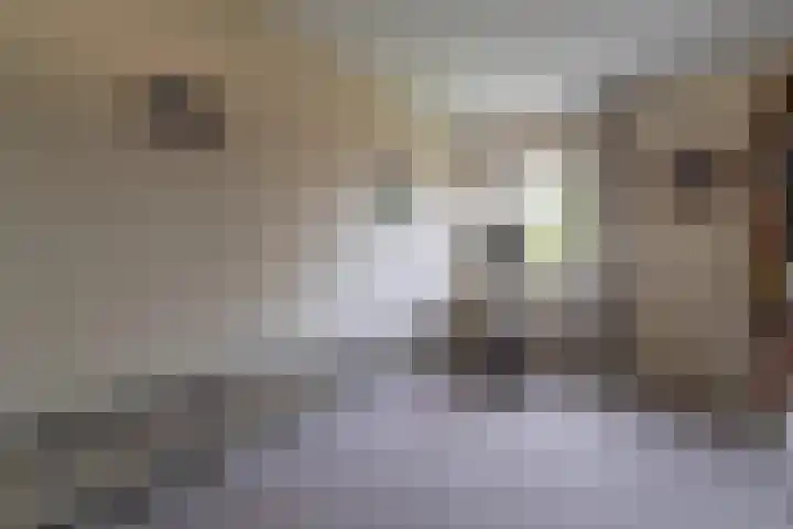 Vijverberg 14 Rhenen thumbnail 13