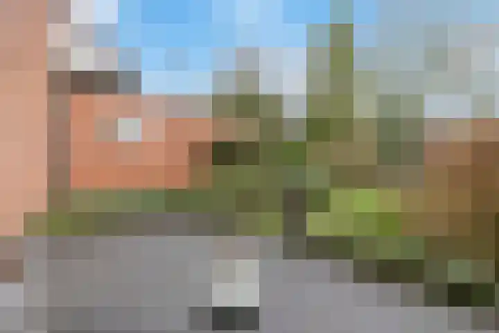 Vijverberg 14 Rhenen thumbnail 19