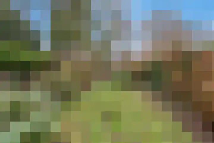 Vijverberg 14 Rhenen thumbnail 20
