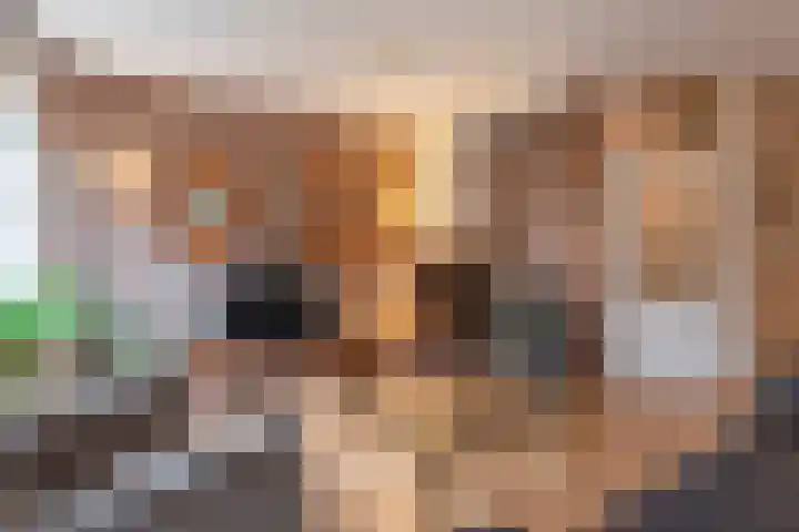 Vijverberg 14 Rhenen thumbnail 4
