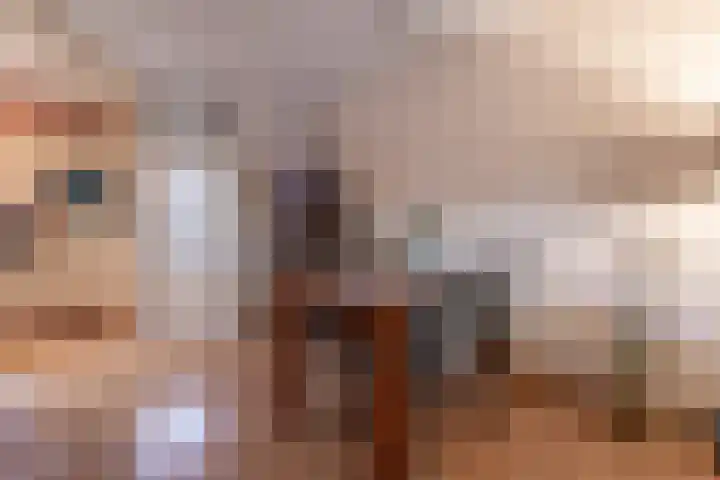 Vijverberg 14 Rhenen thumbnail 6
