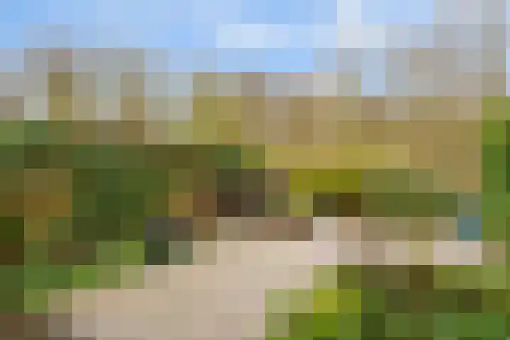 Vijverberg 39 's-Hertogenbosch thumbnail 19