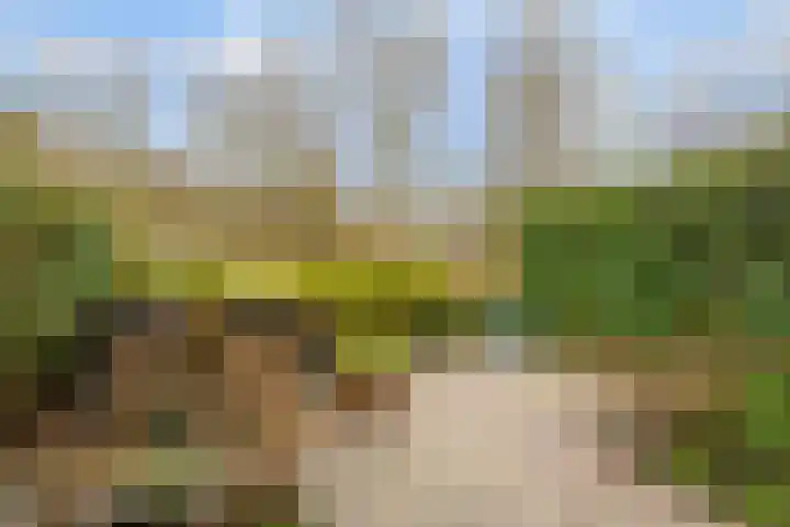 Vijverberg 39 's-Hertogenbosch thumbnail 20