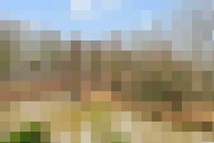 Vijverberg 39 's-Hertogenbosch thumbnail 21