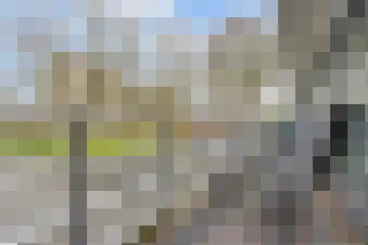 Vijverberg 39 's-Hertogenbosch thumbnail 30