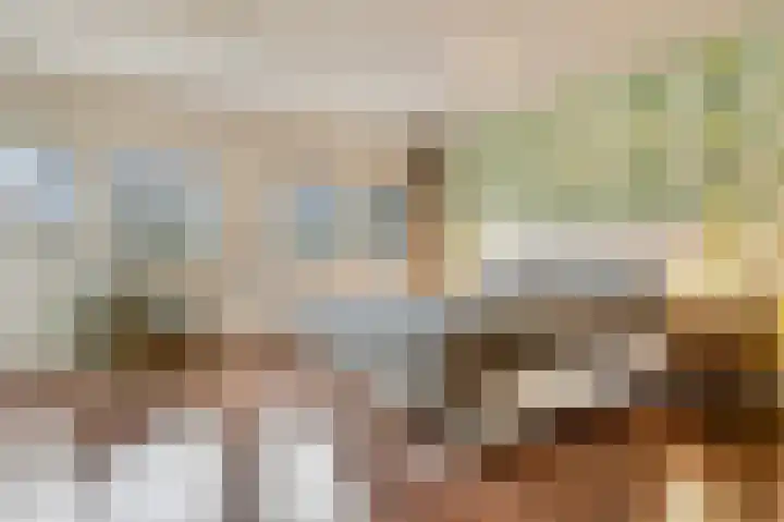 Vijverberg 39 's-Hertogenbosch thumbnail 33