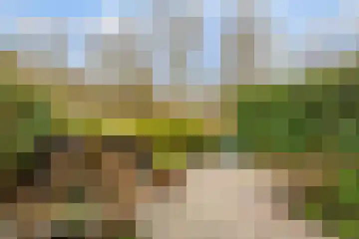 Vijverberg 39 's-Hertogenbosch thumbnail 4