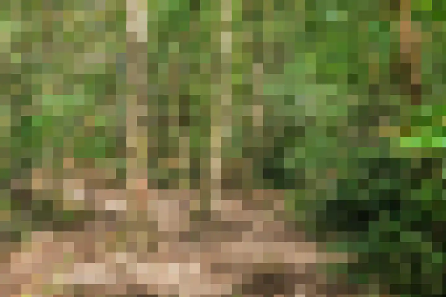 Vijverberg 45 Rhenen thumbnail 40