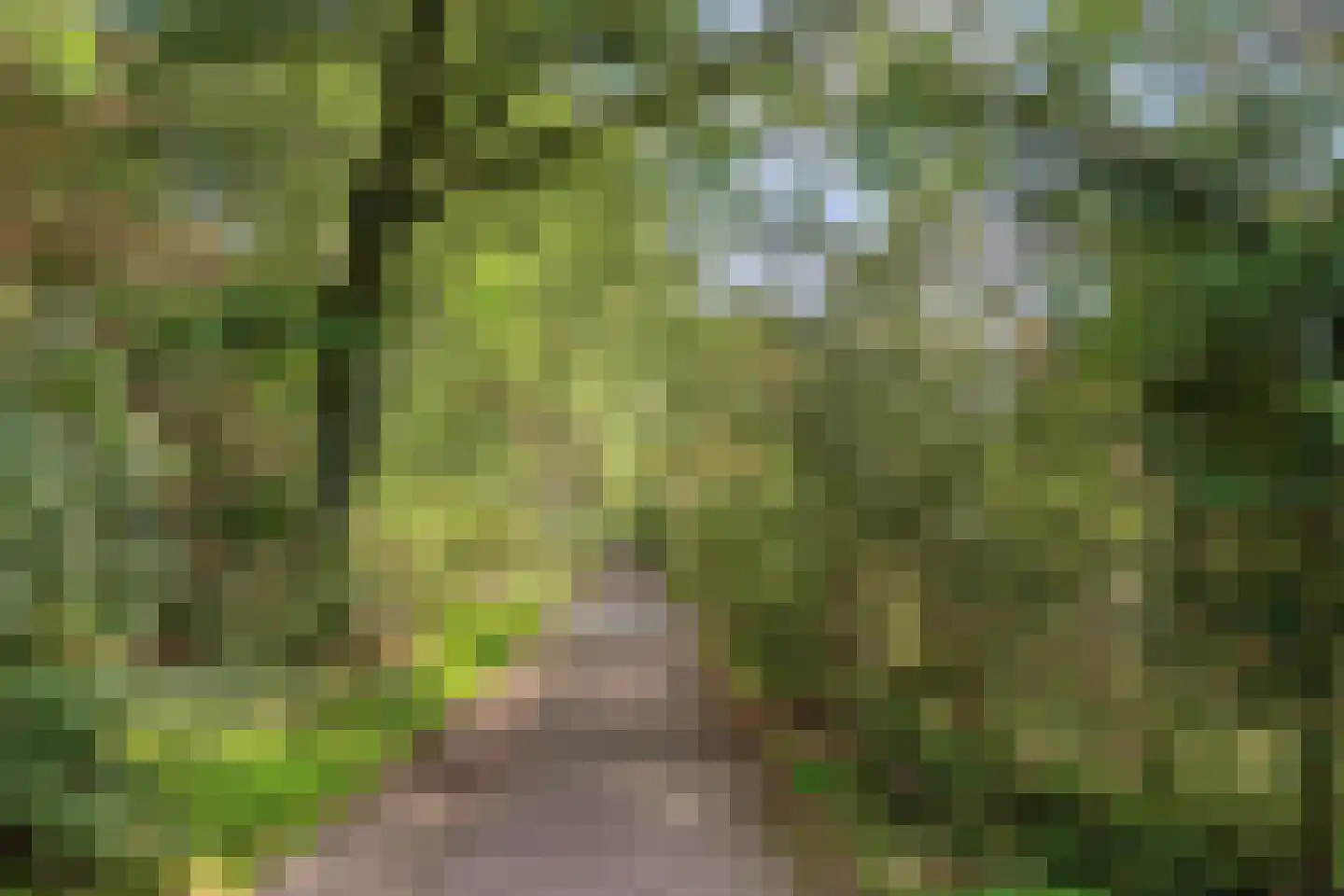 Vijverberg 45 Rhenen thumbnail 41