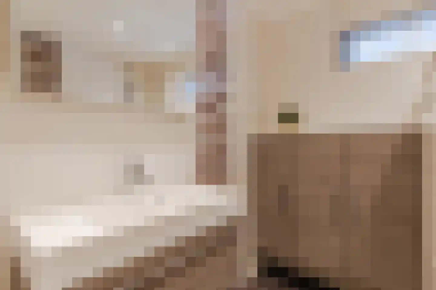 Vijverberg 46 Rhenen thumbnail 25