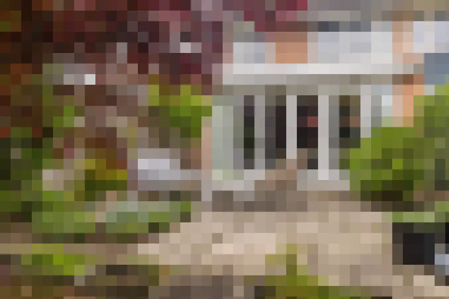 Vijverberg 46 Rhenen thumbnail 34