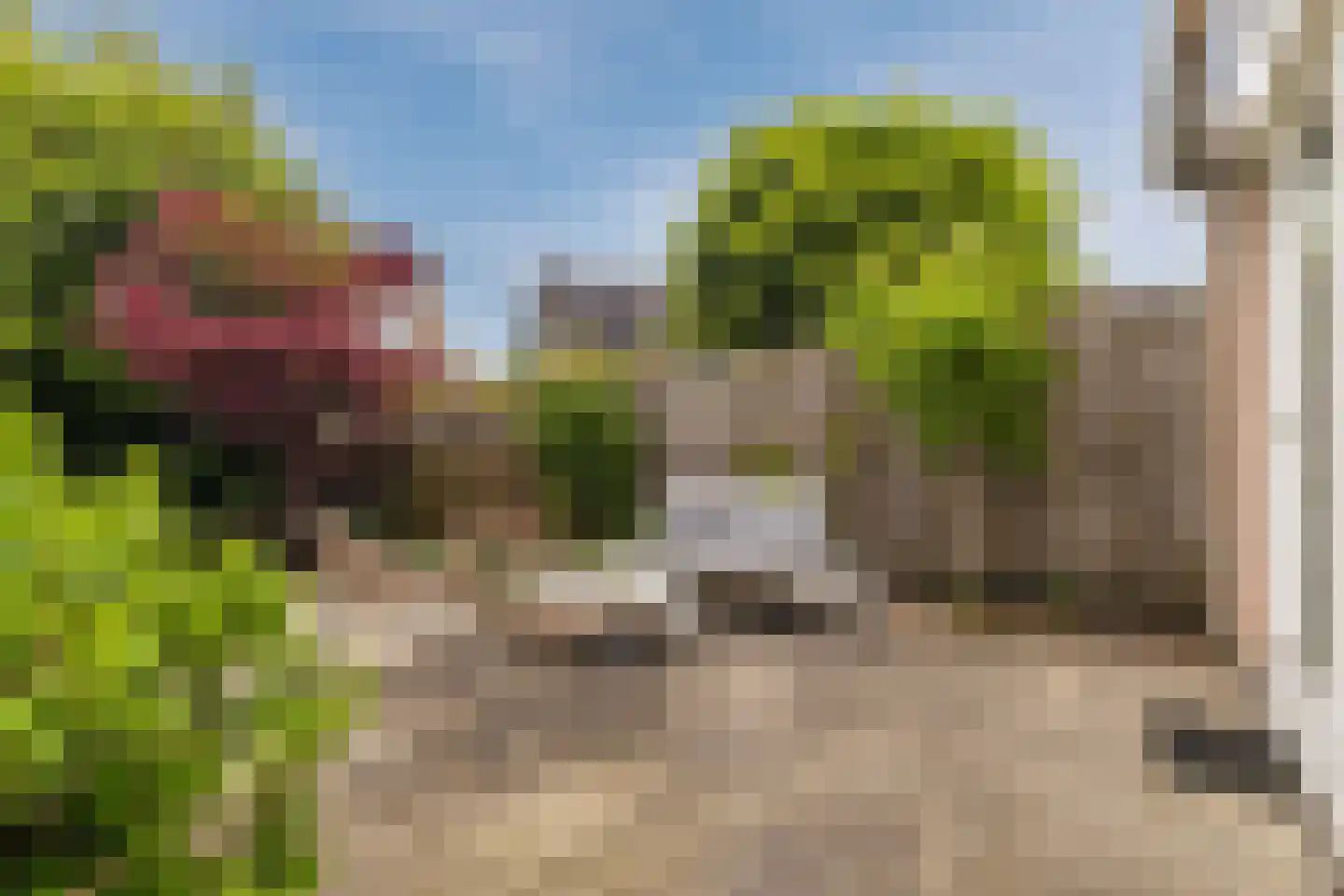 Vijverberg 46 Rhenen thumbnail 35