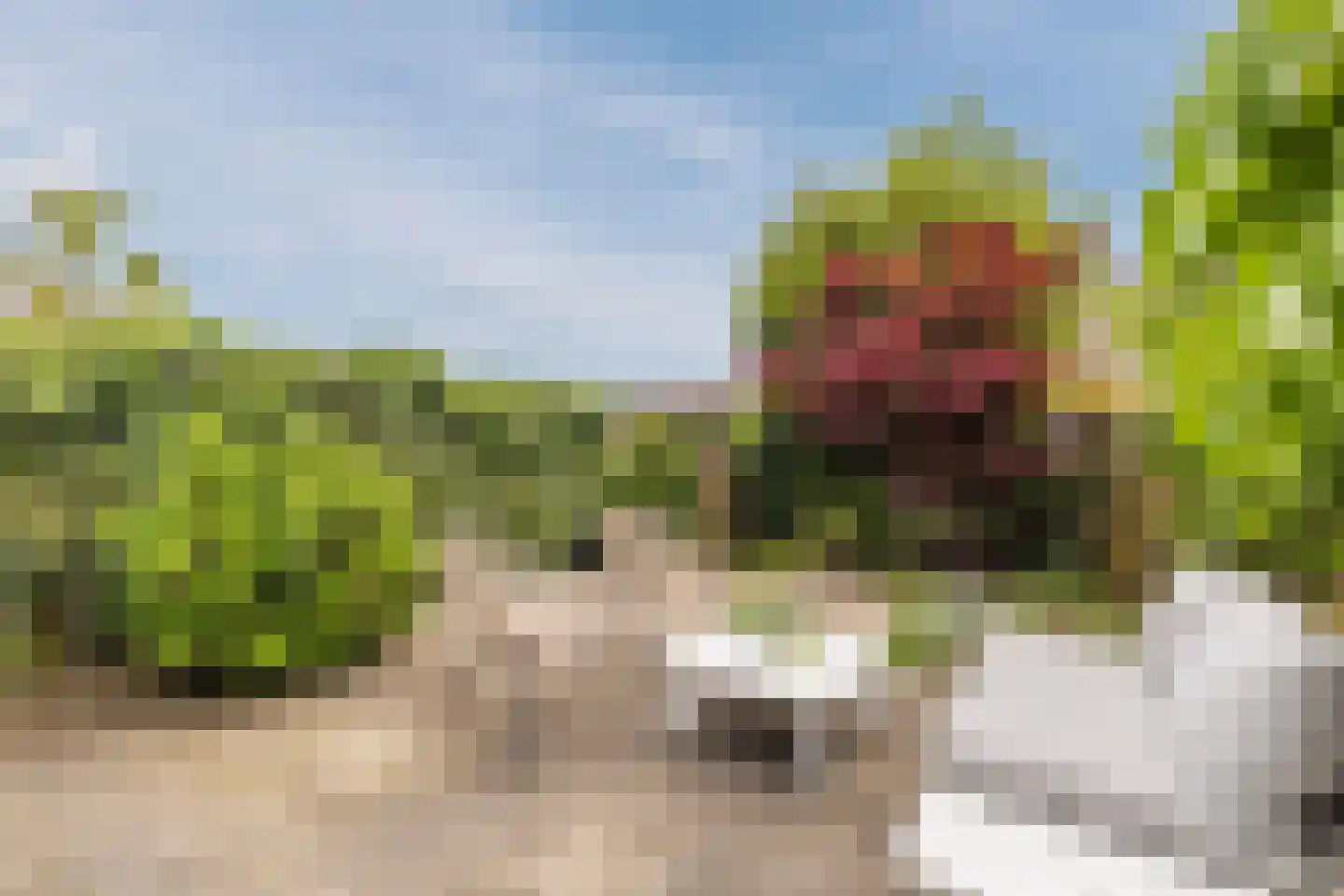 Vijverberg 46 Rhenen thumbnail 36