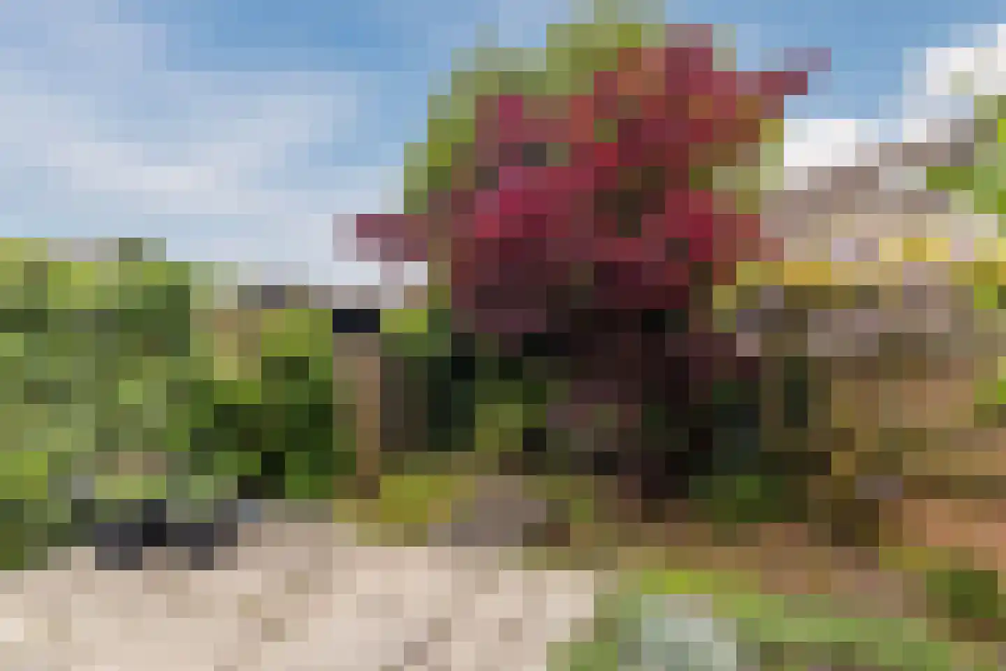 Vijverberg 46 Rhenen thumbnail 37