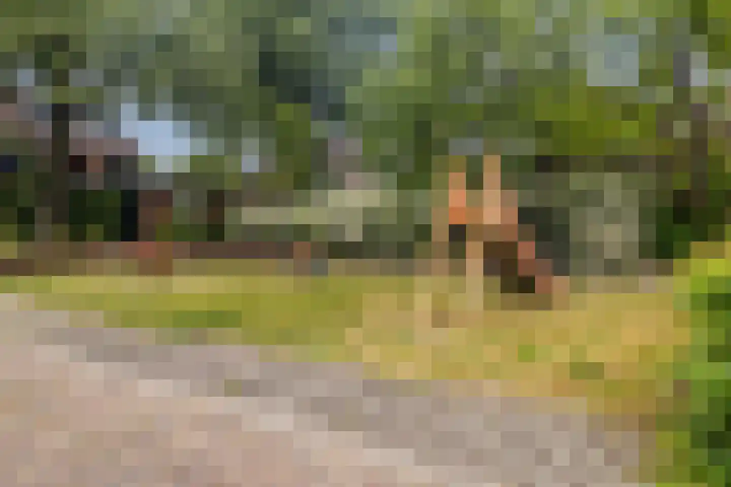 Vijverberg 46 Rhenen thumbnail 41