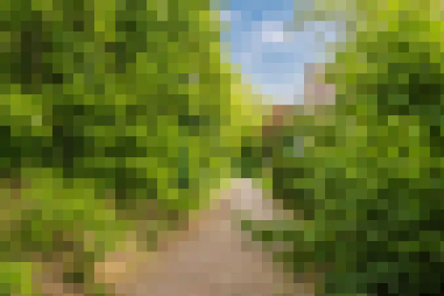 Vijverberg 46 Rhenen thumbnail 42
