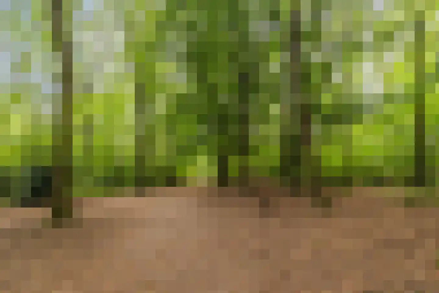 Vijverberg 46 Rhenen thumbnail 43