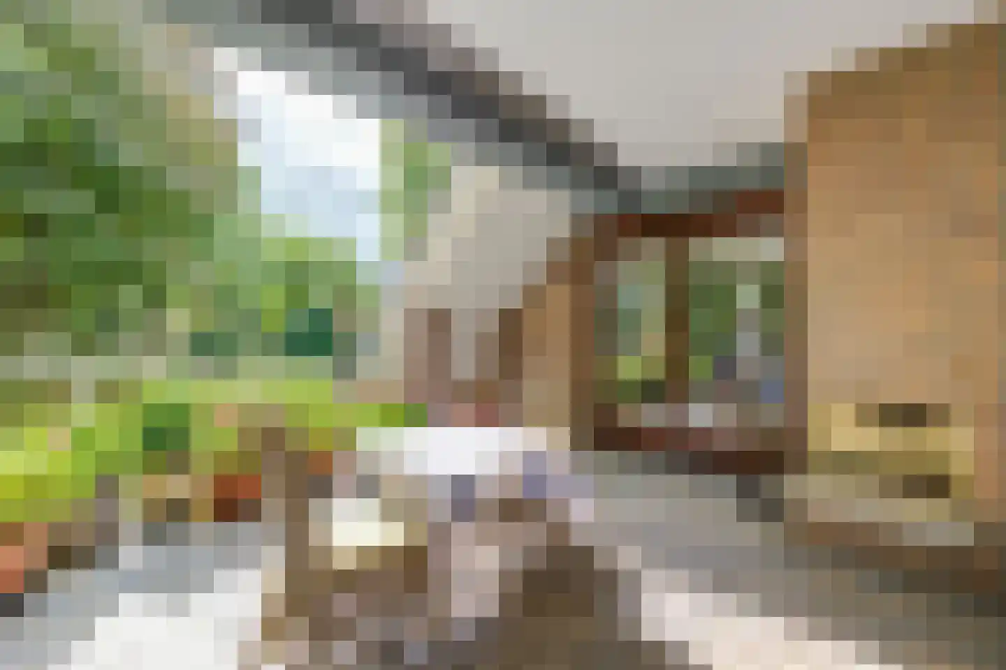 Vijverberg 5 Bussum thumbnail 19