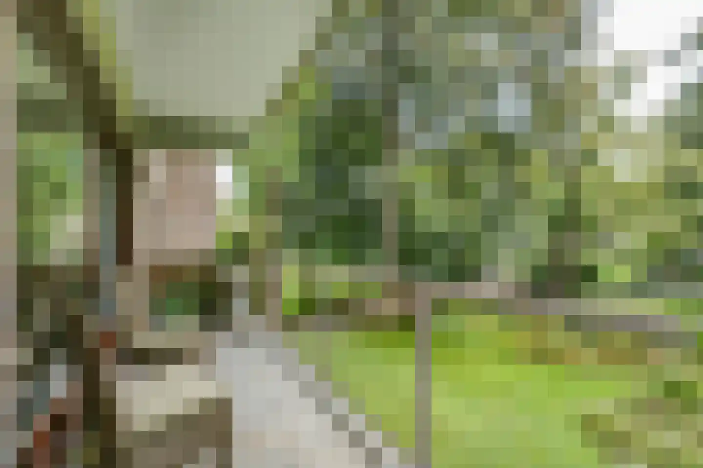 Vijverberg 5 Bussum thumbnail 20