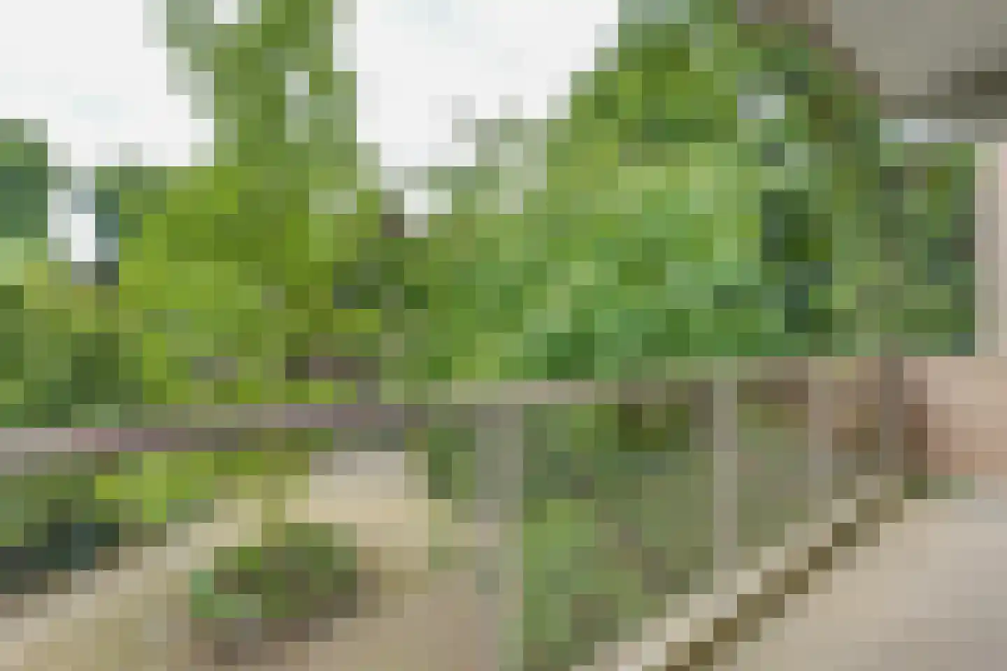 Vijverberg 5 Bussum thumbnail 37
