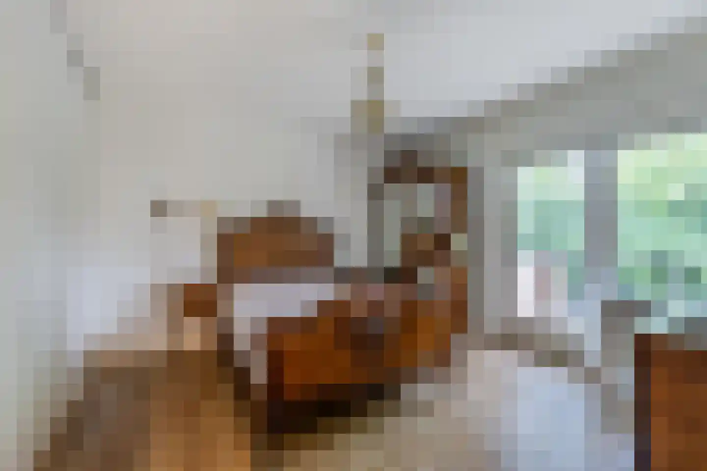 Vijverberg 5 Bussum thumbnail 39