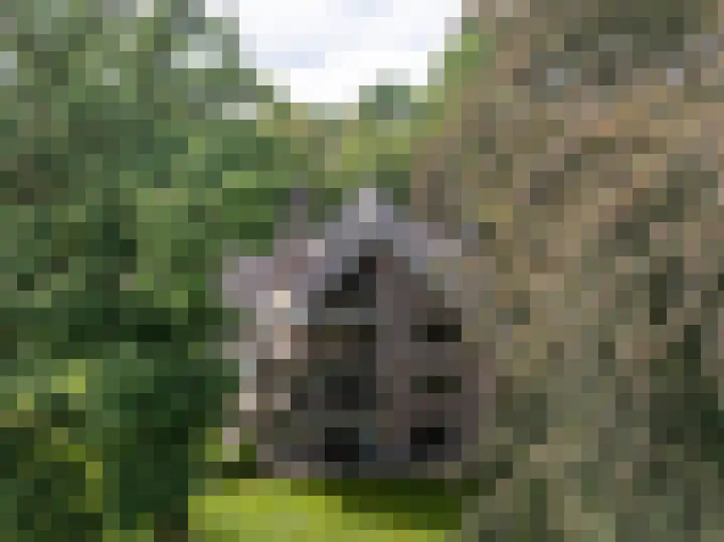 Vijverberg 5 Bussum thumbnail 4