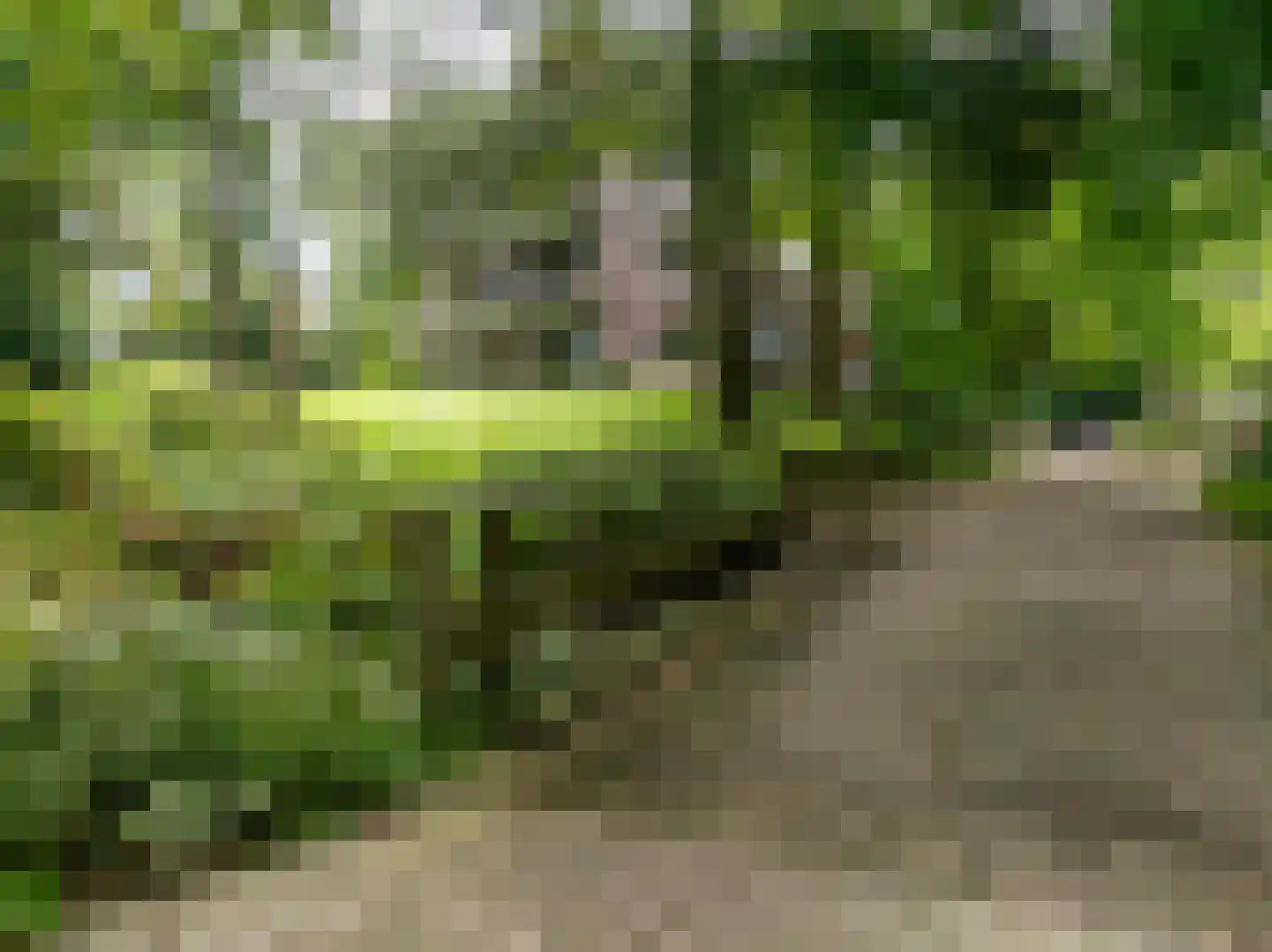 Vijverberg 5 Bussum thumbnail 48