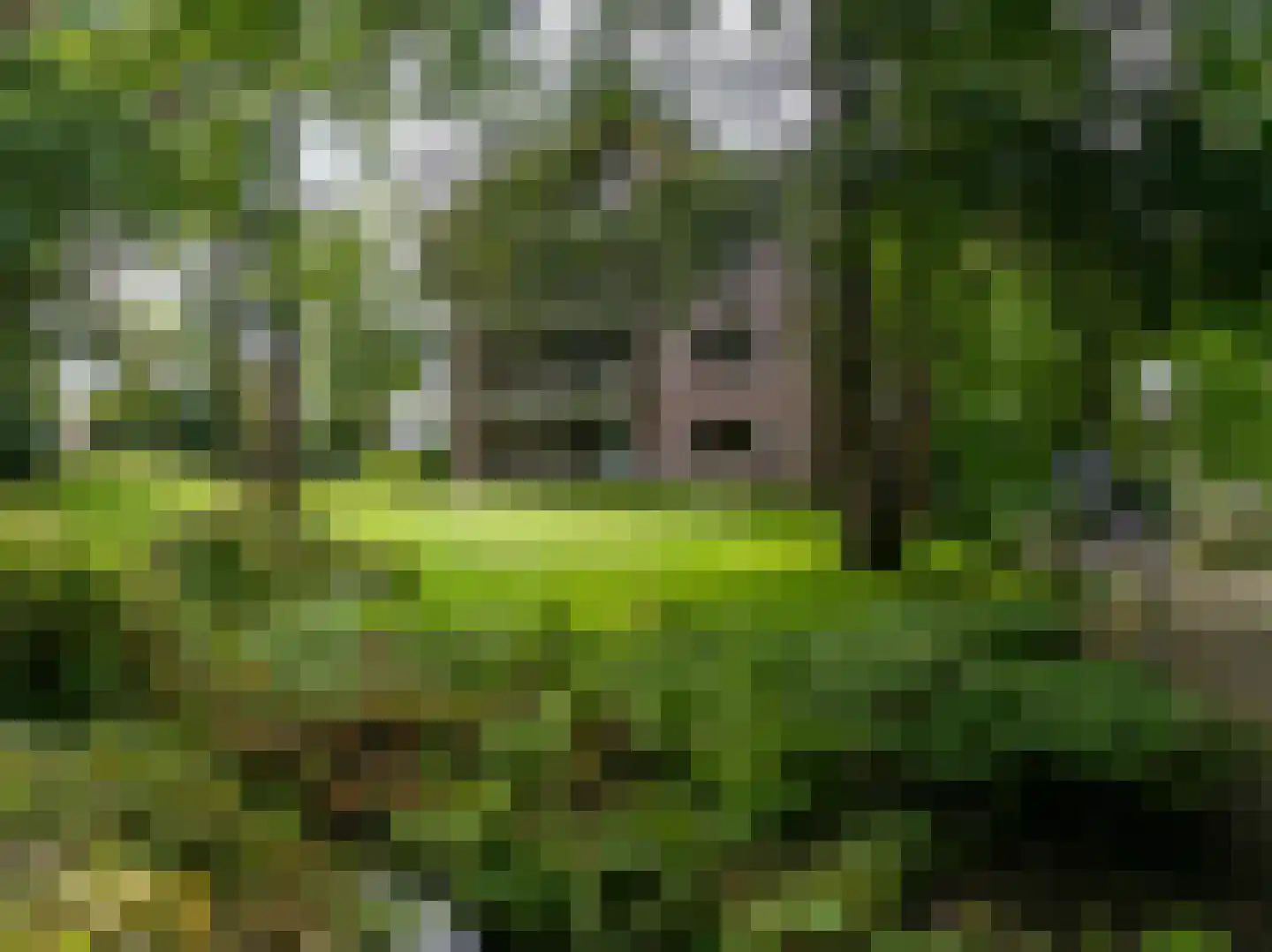 Vijverberg 5 Bussum thumbnail 49