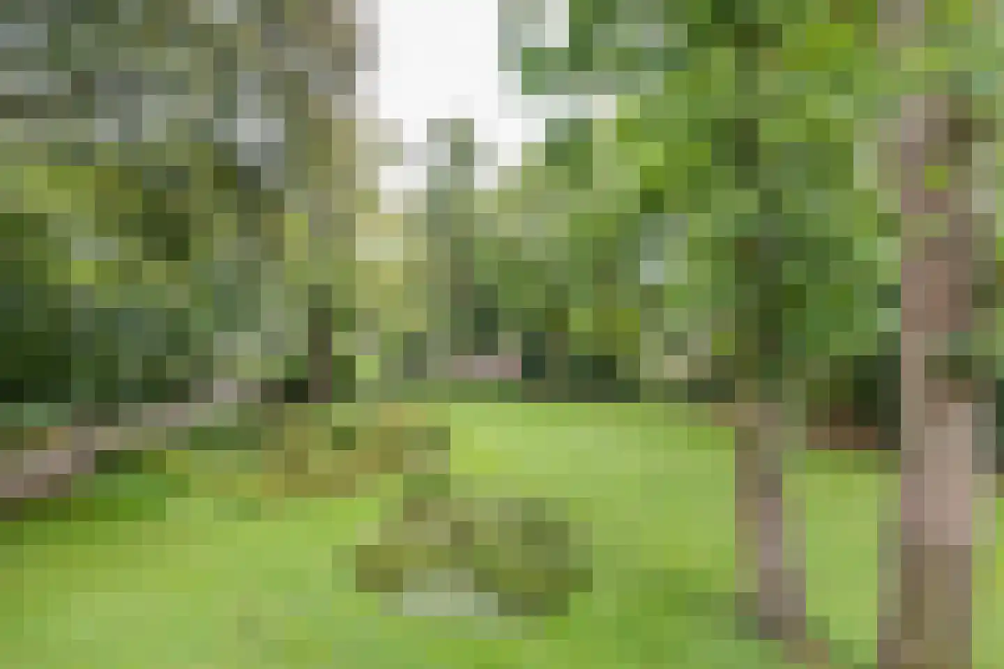 Vijverberg 5 Bussum thumbnail 50
