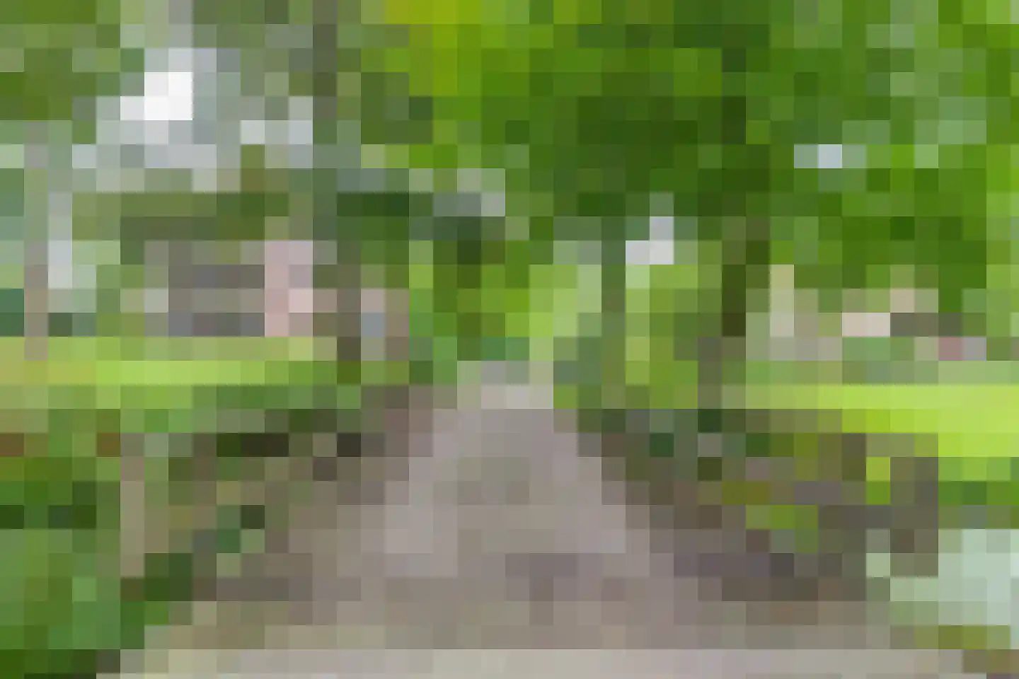 Vijverberg 5 Bussum thumbnail 51